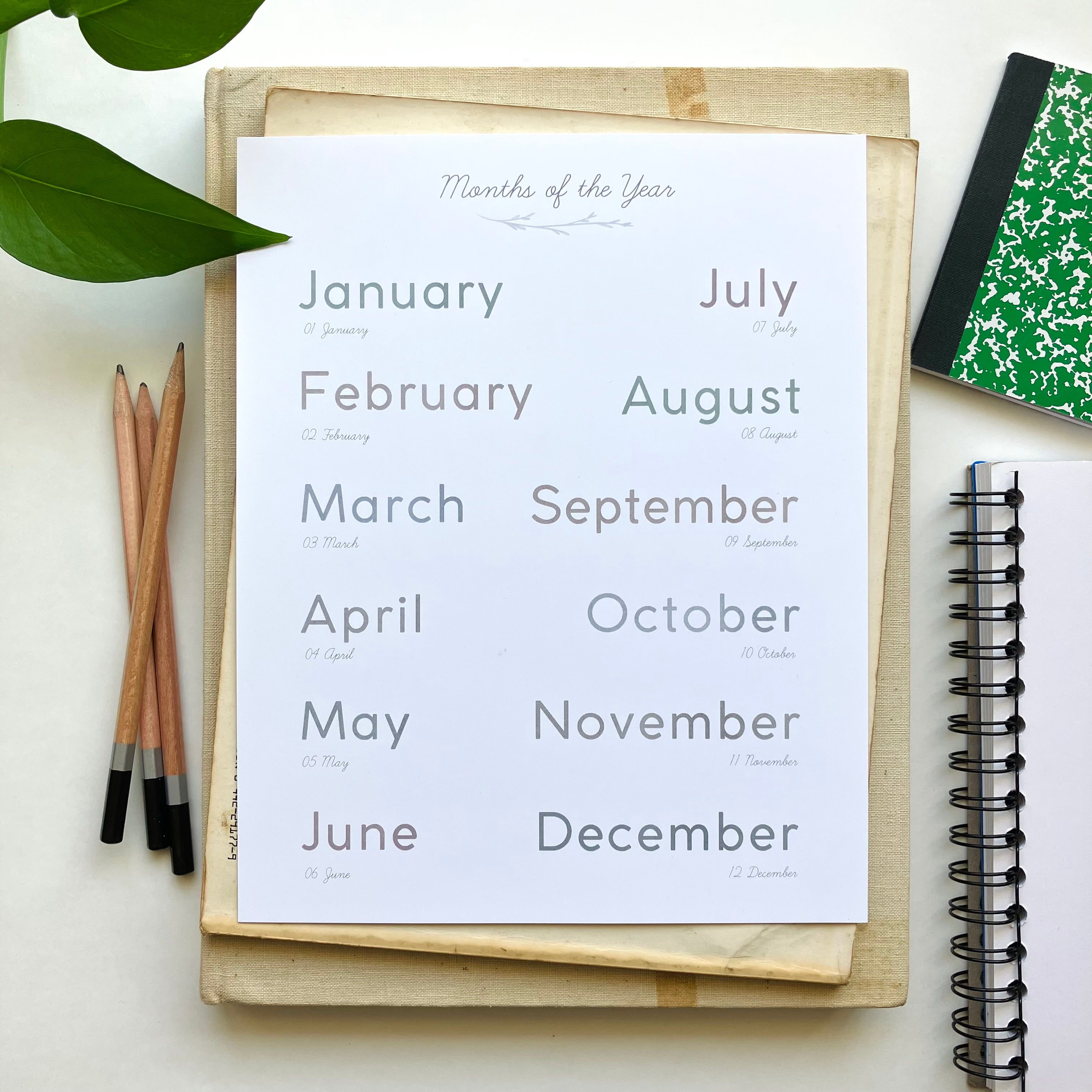 Months Of The Year Poster